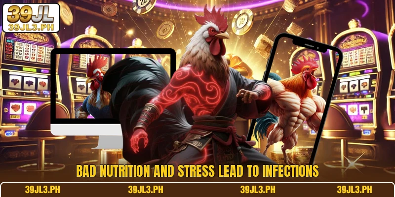 Bad nutrition and stress lead to infections
