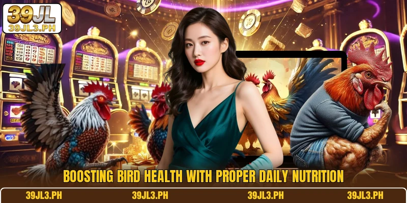 Boosting bird health with proper daily nutrition
