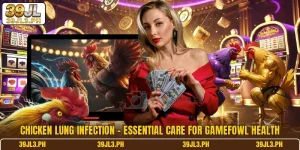 Chicken Lung Infection - Essential Care For Gamefowl Health