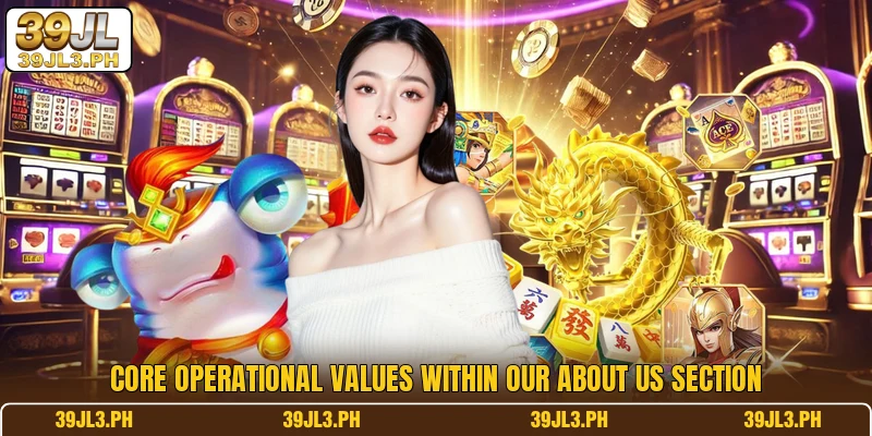 Core operational values within our about us section