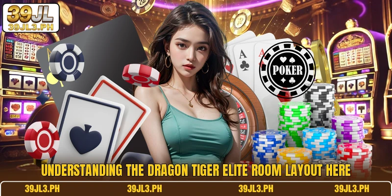 Understanding the Dragon Tiger Elite Room layout here